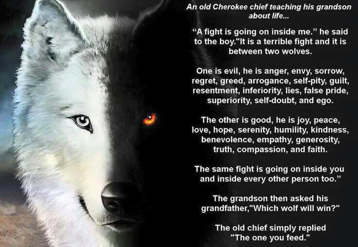 THE WOLF YOU FEED
